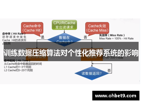 训练数据压缩算法对个性化推荐系统的影响